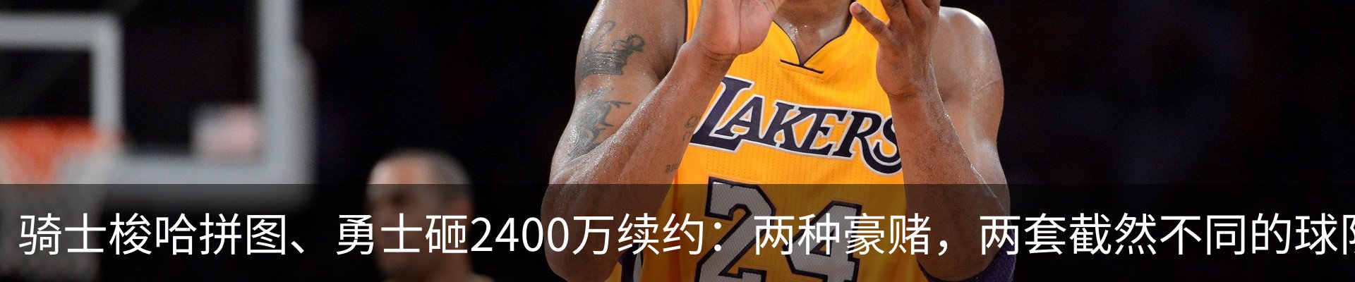 最新动态